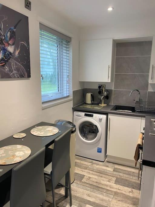 Cosy Studio Apartment 워털루빌 외부 사진